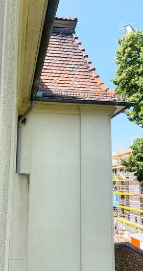 Artenschutzprüfung vor Sanierung – Nest an Fassade