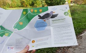 Mitmach-Flyer Vogellehrpfad – Karte