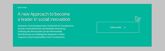 Webdesign Beyond Philanthropy Infobox