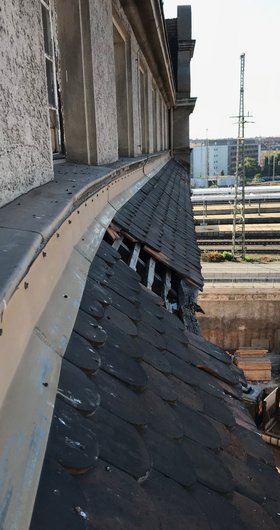 Artenschutzprüfung vor Sanierung der "Alten Post" – Traufbereich