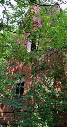 Artenschutzprüfung: Fledermäuse an ruinösem Gebäude – Fenster