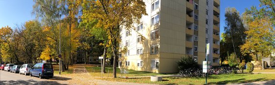 Baumgutachten für den Artenschutz – Bäume vor Gebäude