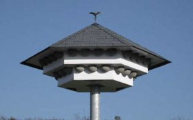 Geschützte Schwalbenarten an altem Schulzentrum – Nistkasten