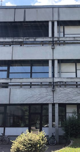 Geschützte Schwalbenarten an altem Schulzentrum – Fensterfront