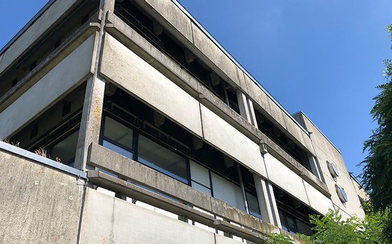 Geschützte Schwalbenarten an altem Schulzentrum – Fassade