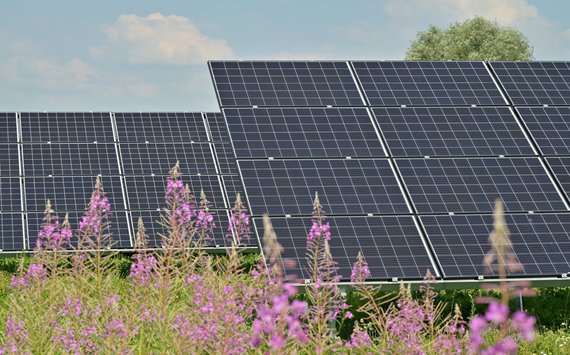 Artenschutzfachbeitrag für Solarpark Heinsdorf