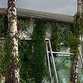 spezielle artenschutzrechtliche Prüfung (saP) - Gutachten 
