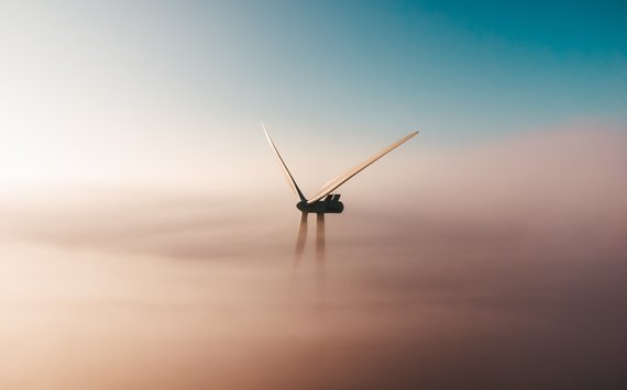 Artenschutzfachbeitrag für Windpark in Bayern