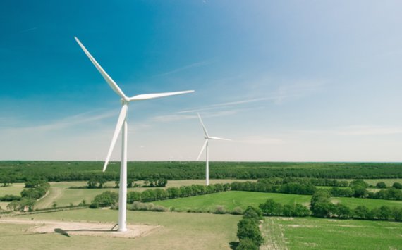Artenschutzfachbeitrag für Windpark in Bayern