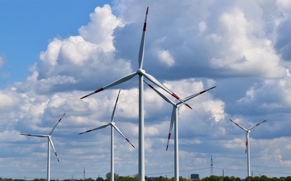 Artenschutzfachbeitrag für Windpark in Bayern