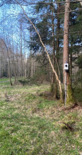 Untersuchung Fledermäuse in zukünftigem Windpark