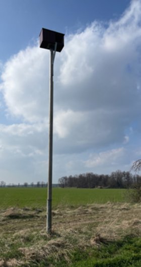 Untersuchung Fledermäuse in zukünftigem Windpark