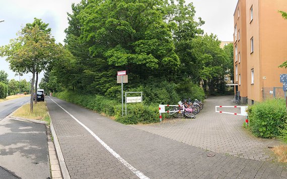 worst-case Betrachtung von Zauneidechsen – Straße