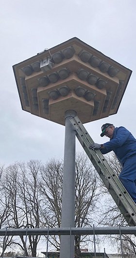 Ein Mitarbeiter installiert das Mehlschwalbenhaus auf dem Mast