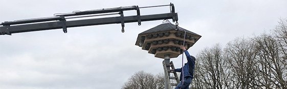 Das Mehlschwalbenhaus wird mit dem Kran installiert