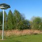 Gebäudebrüter melden in Nürnberg, Fürth, Erlangen, Leipzig und Berlin