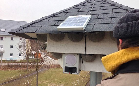 Klangattrappe am Mehlschwalbenhaus