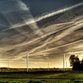 Wackeln statt drehen – Windräder der Zukunft