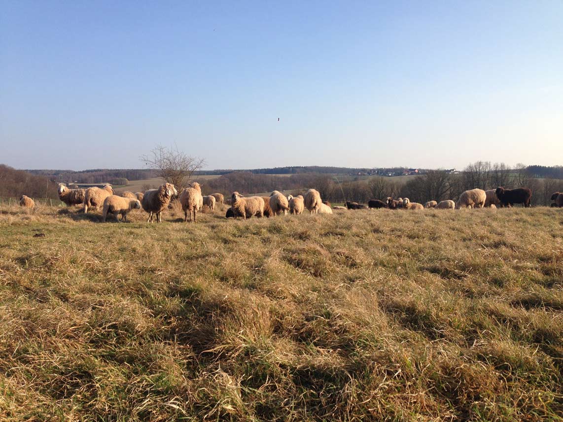 Boden: ein lebensnotwendiges Gut - Foto: www.gruenstifter.com