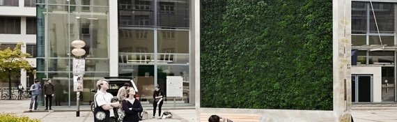 Green City Solutions – grüne Lungen für die Stadt