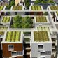 Frankreich beweist mit Dachbepflanzungen seinen grünen Daumen