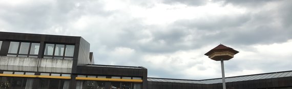 Mauersegler schützen mit  Mauersegler-melden.de 