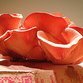 Pilzpaket - Pilzkulturen auf Kaffeesatz