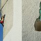 Specht hackt Löcher in Hausfassade.
