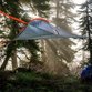 Abhängen in luftiger Höhe: Mit dem Baumzelt von Tentsile