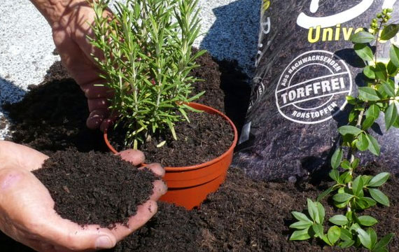 Torffreie Blumenerde für umweltbewusstes Pflanzen - Foto: www.lbv.de