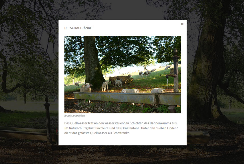 Modernes Webdesign - Panoramabilder im Fullscreen
