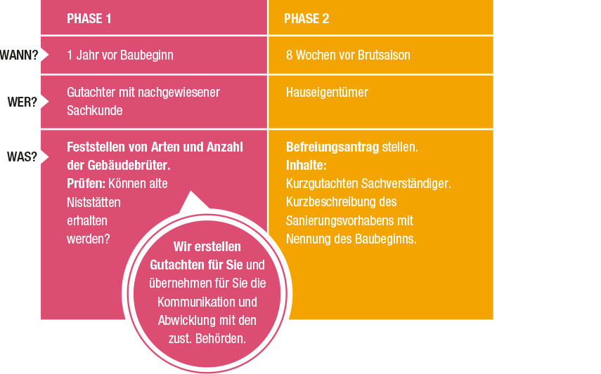 Wir erstellen Fachgutachten, Kurzgutachten zu Gebäudebrütern